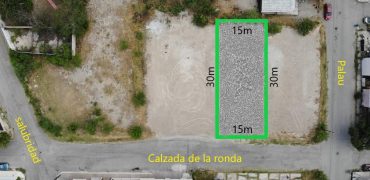 Venta terreno Ideal para Departamentos y Oficinas, Calle Calzada de la Ronda entre salubridad y Palau col Burócratas VT #293-a