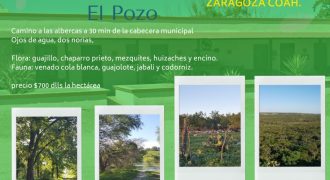 Venta Rancho 1280 has ubicado en Zaragoza Coahuila